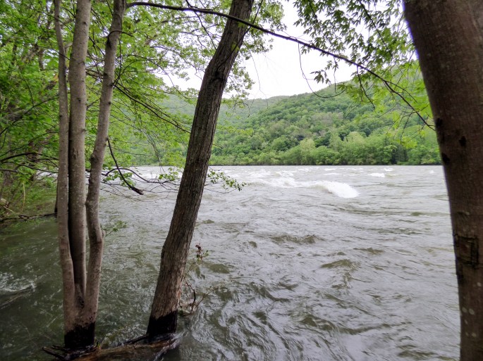 New River near Madam's Creek 1