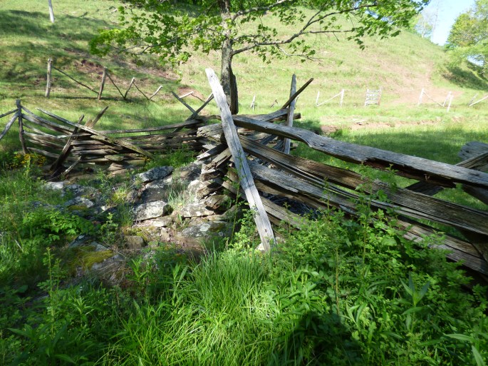 split rail fencing